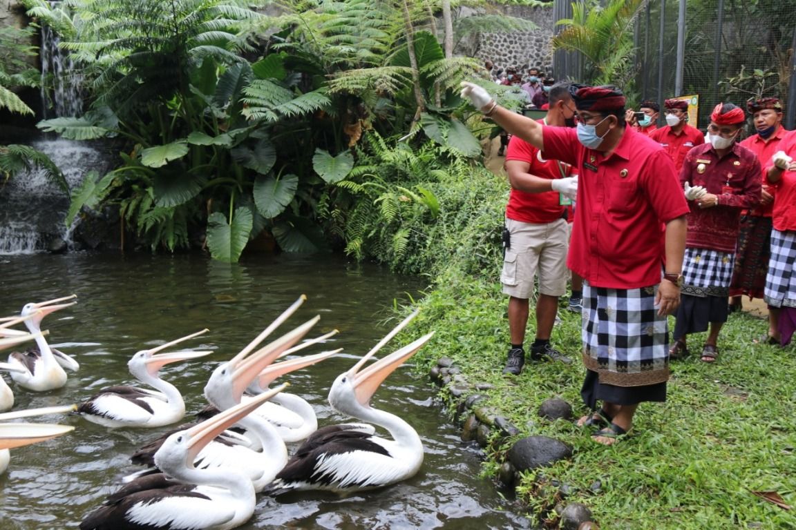 podiumnews.com-Bupati Sanjaya Buka Taman Satwa Tabanan Wildlife Park 